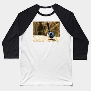 Superb Fairy Wren in Norton Summit Baseball T-Shirt